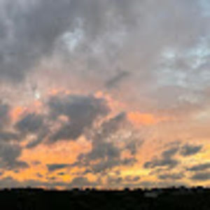 Meet your Posher, Charis